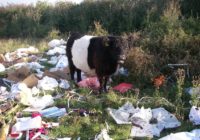 Revealed: The Top Ten Excuses For Fly-Tipping