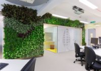 Over 70% of Workers Value a Sustainable Office Environment