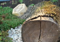 More Urban Biodiversity with Off-the-Shelf Package