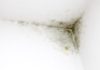 Plaster Re-think Could Ease Maintenance Burden on Housing Associations in the Wake of Rent Cut Legislation