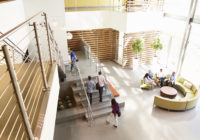 Decorative, Adhesive-Free Altro Cantata Hits the Right Note Decorative, Adhesive-Free Altro Cantata Hits the Right Note
