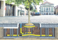 A Safe Haven for Urban Trees, with Wrekin TreeBunker™ System