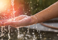 Can IoT help to reduce the risk of Legionnaires disease? Can IoT help to reduce the risk of Legionnaires disease?