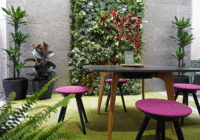 World first biophilic design research project connects buildings with nature 
